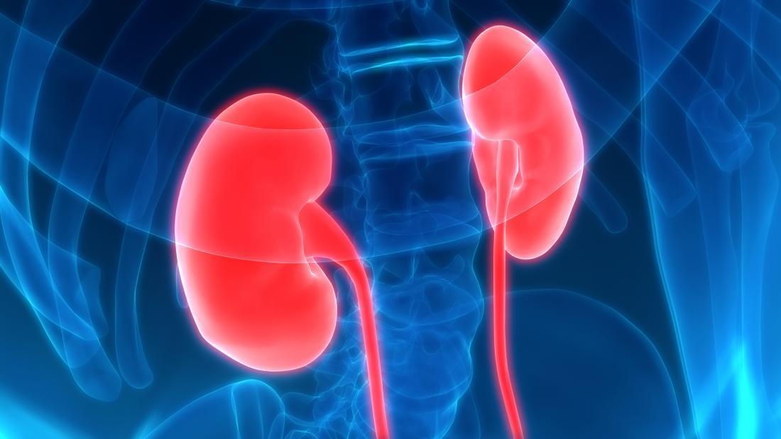 12 Major Conditions that can affect Your Kidneys