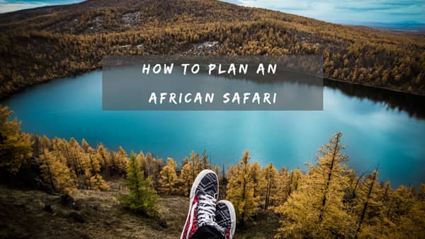 How to Plan an African Safari