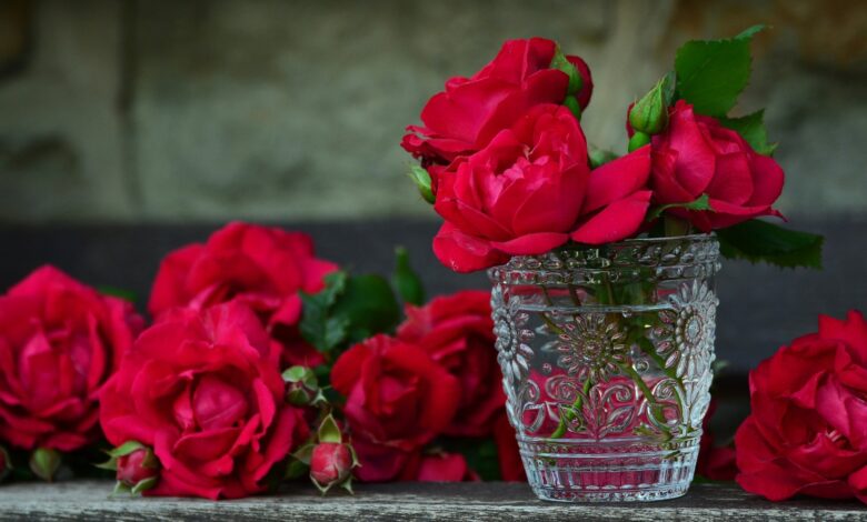 red flowers