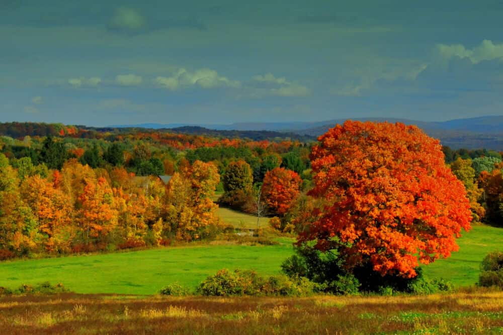 Greg Harriman Vermont