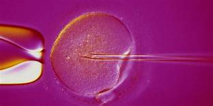 in vitro fertilization in chennai