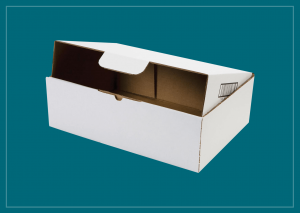 Locking Mailer