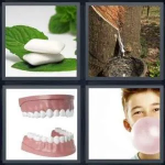 GUM