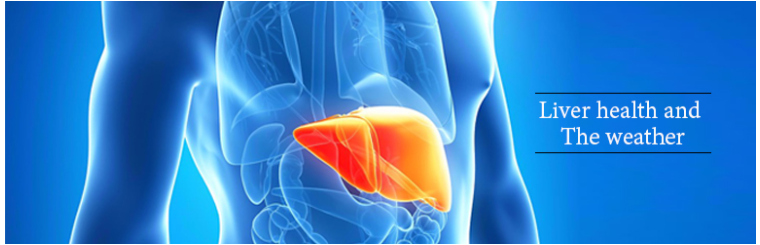 liver transplant success rate in India