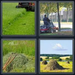 MOW