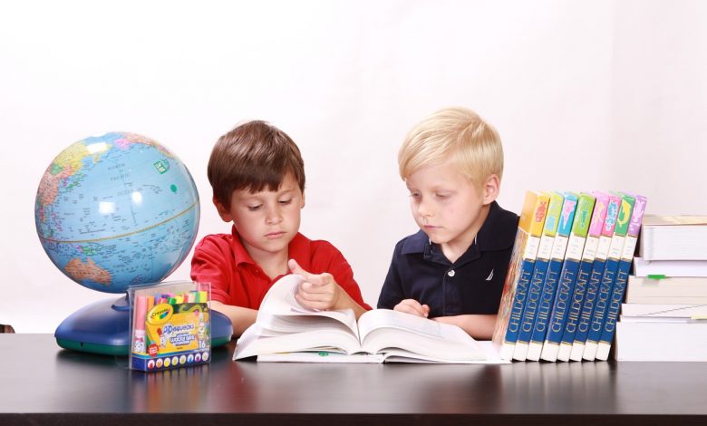 Boys studying at home