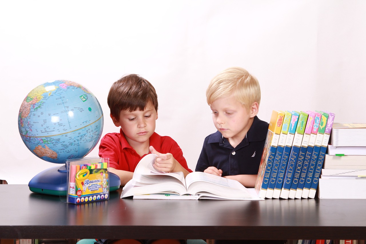 Boys studying at home