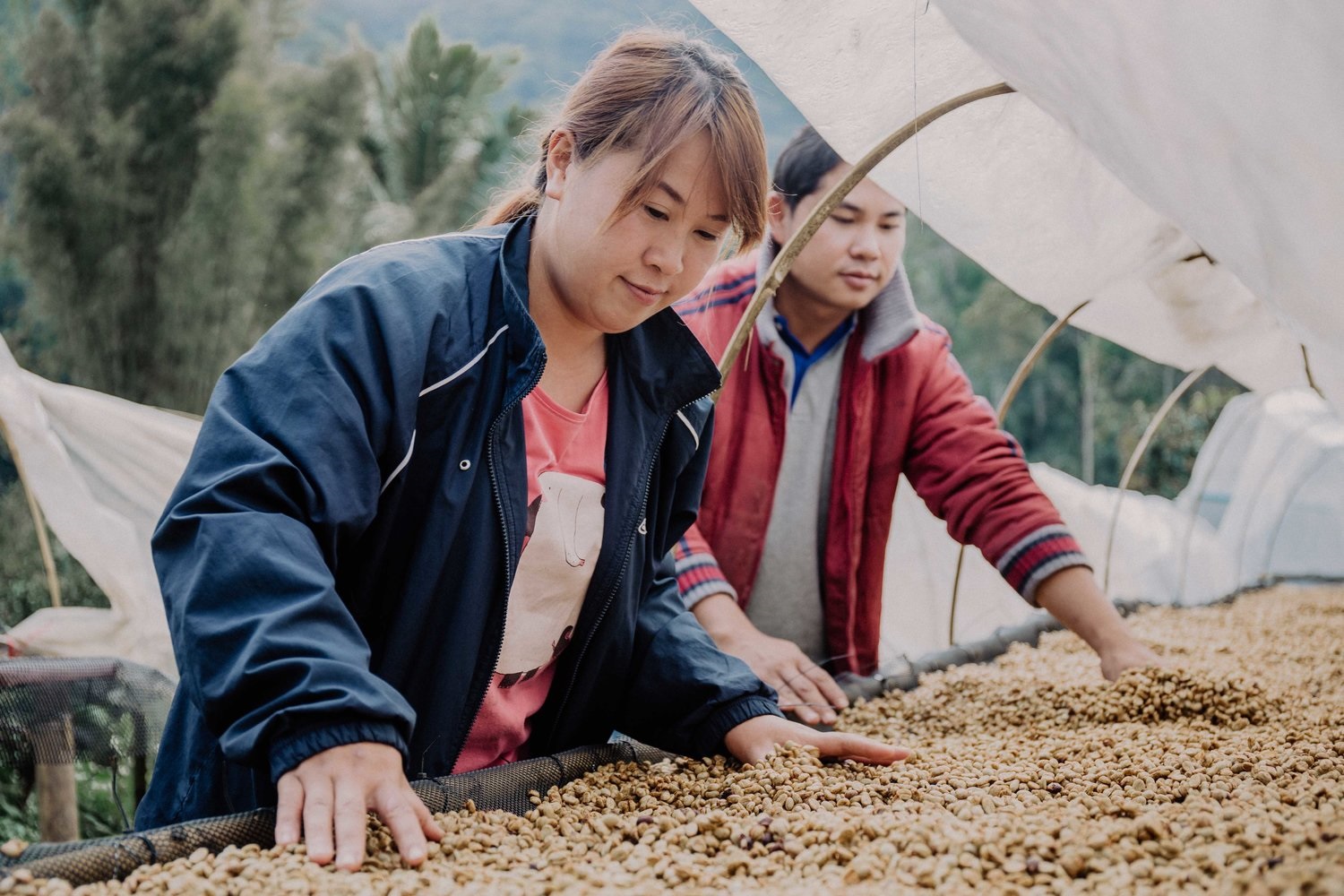 coffee beans business