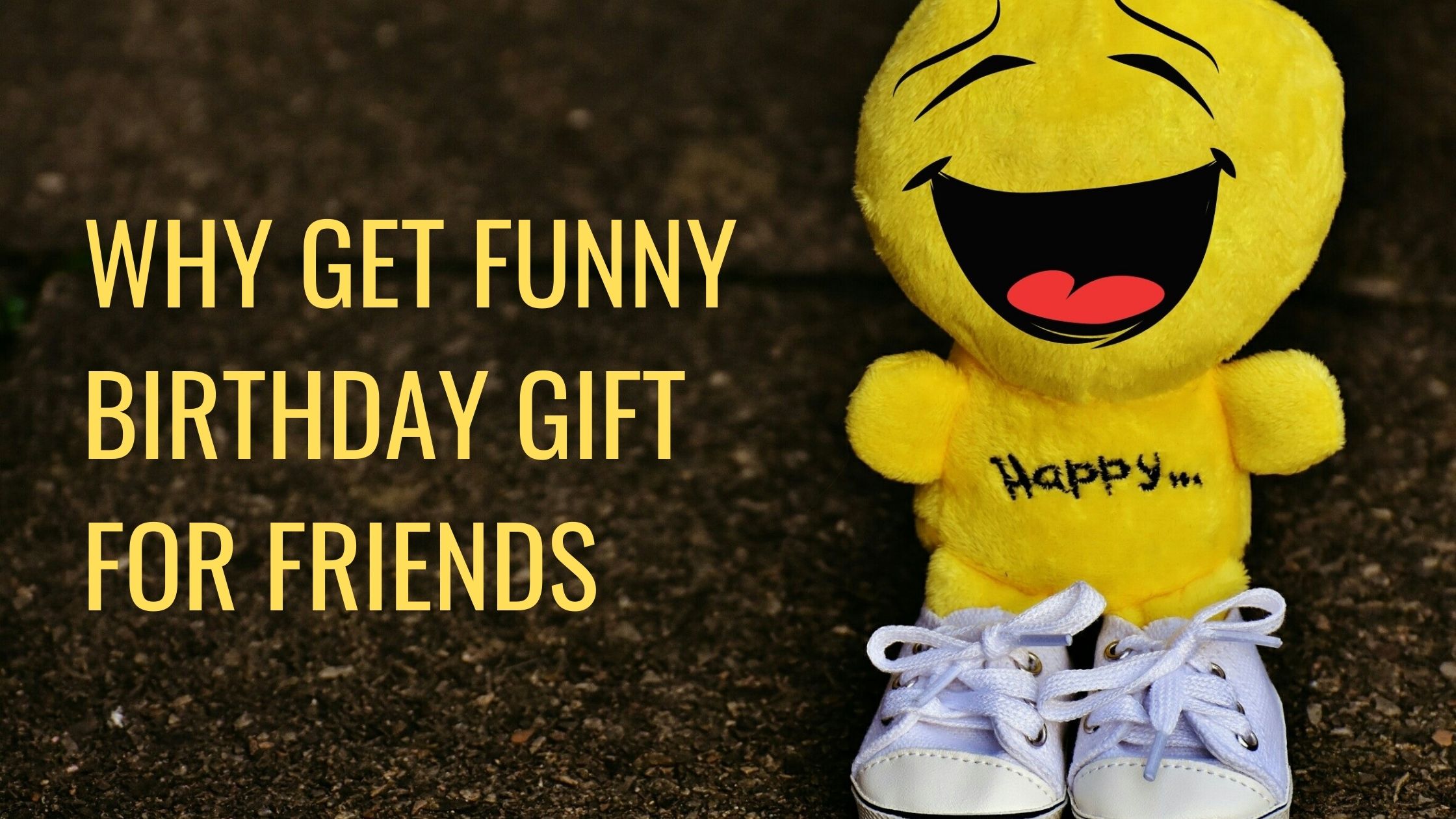 funny birthday gift for friend