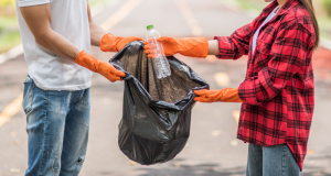 bin hire