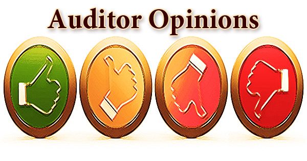 Auditor-Opinions