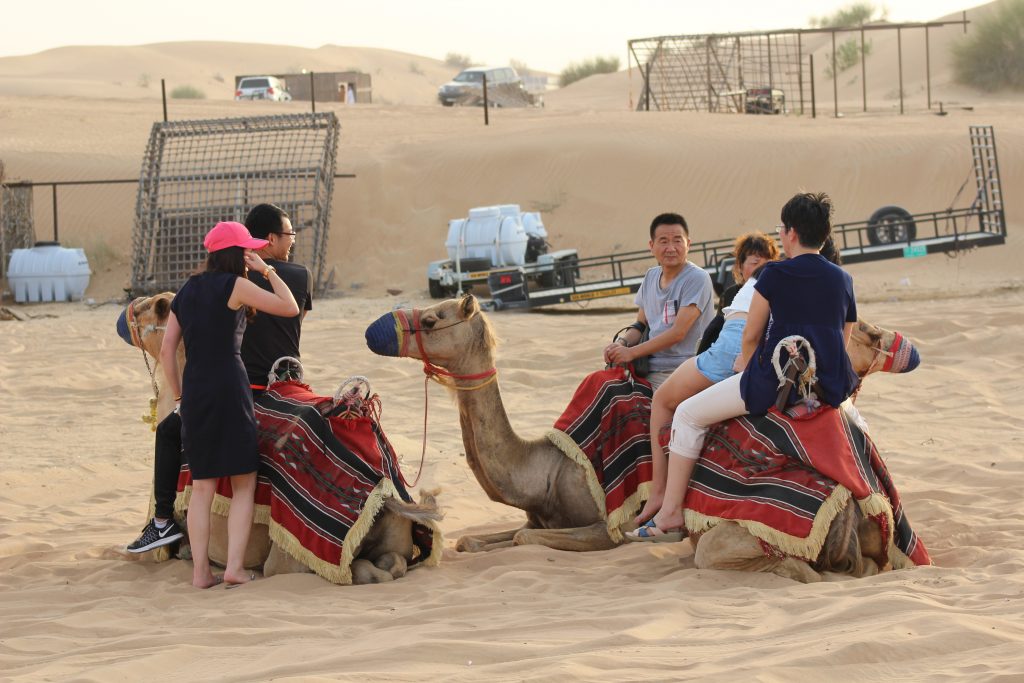Desert safari in Dubai