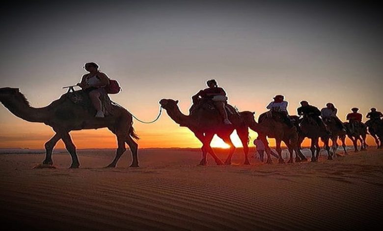 camel ride in morocco
