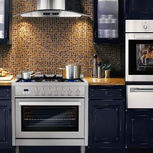 Best gas range for home chef