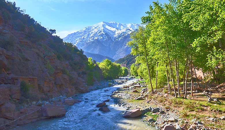 Things to Do in Marrakech