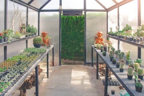 Good Greenhouse