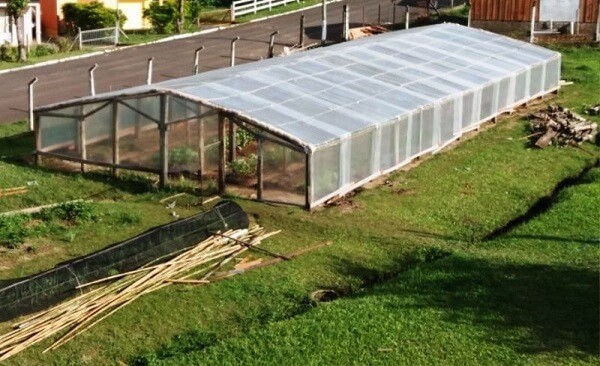 What Is The Importance Of A Good Greenhouse Assembly