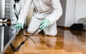 Emergency Pest Control