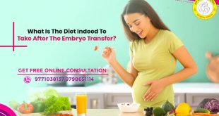 What Is the Diet Indeed to Take After the Embryo Transfer?