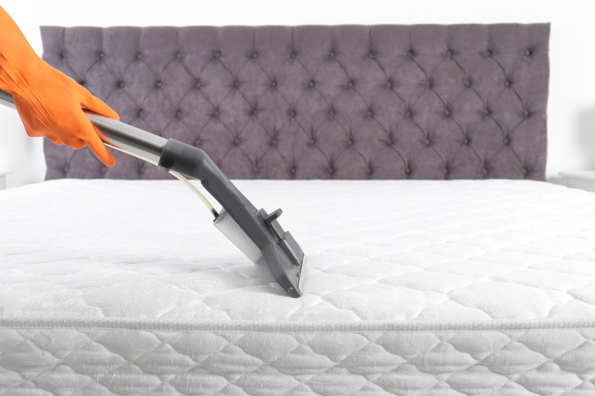 mattress-steam-cleaning