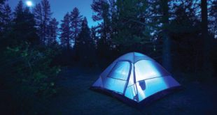 What Should You Know About Overnight Camping