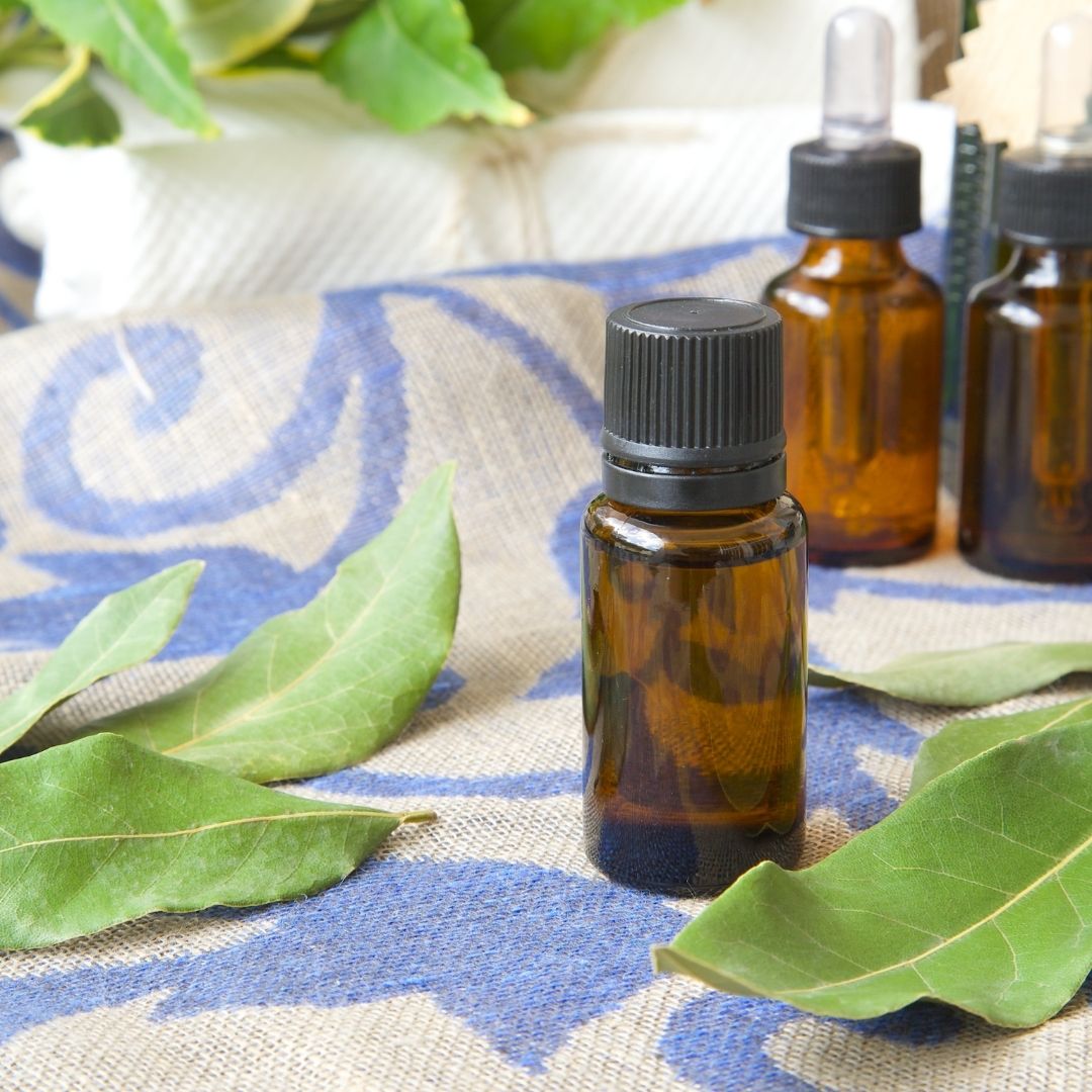 Betel Leaf Essential Oil