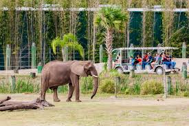 Zoo in Lowry Park