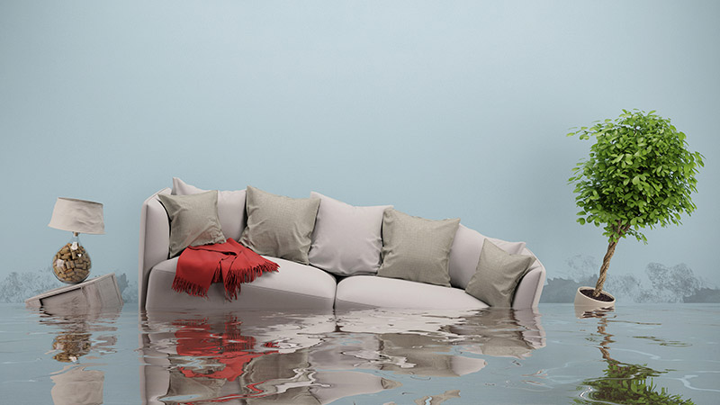 water damage fort myes