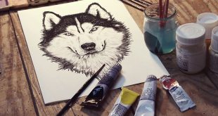 Wolf Face drawing