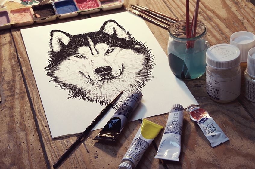 Wolf Face drawing