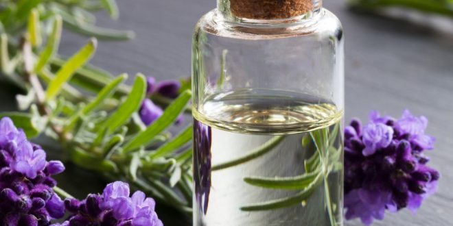 Lavender Essential Oil Benefits for Skin