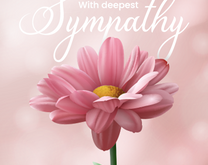 sympathy cards for family