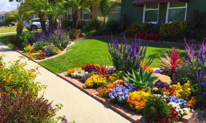 roots landscaping