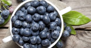 Advantages Of Eating Blueberries Each Day