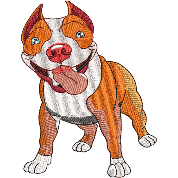 Embroidery Digitizer