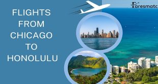 Delta Airlines tickets, flight tickets, Delta Airlines booking, Flights from Chicago to Honolulu, Cheap Flights to Chicago, FaresMatch