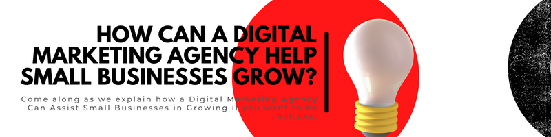 How Can a Digital Marketing Agency Help Small Businesses Grow