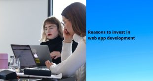 Reasons to invest in web app development