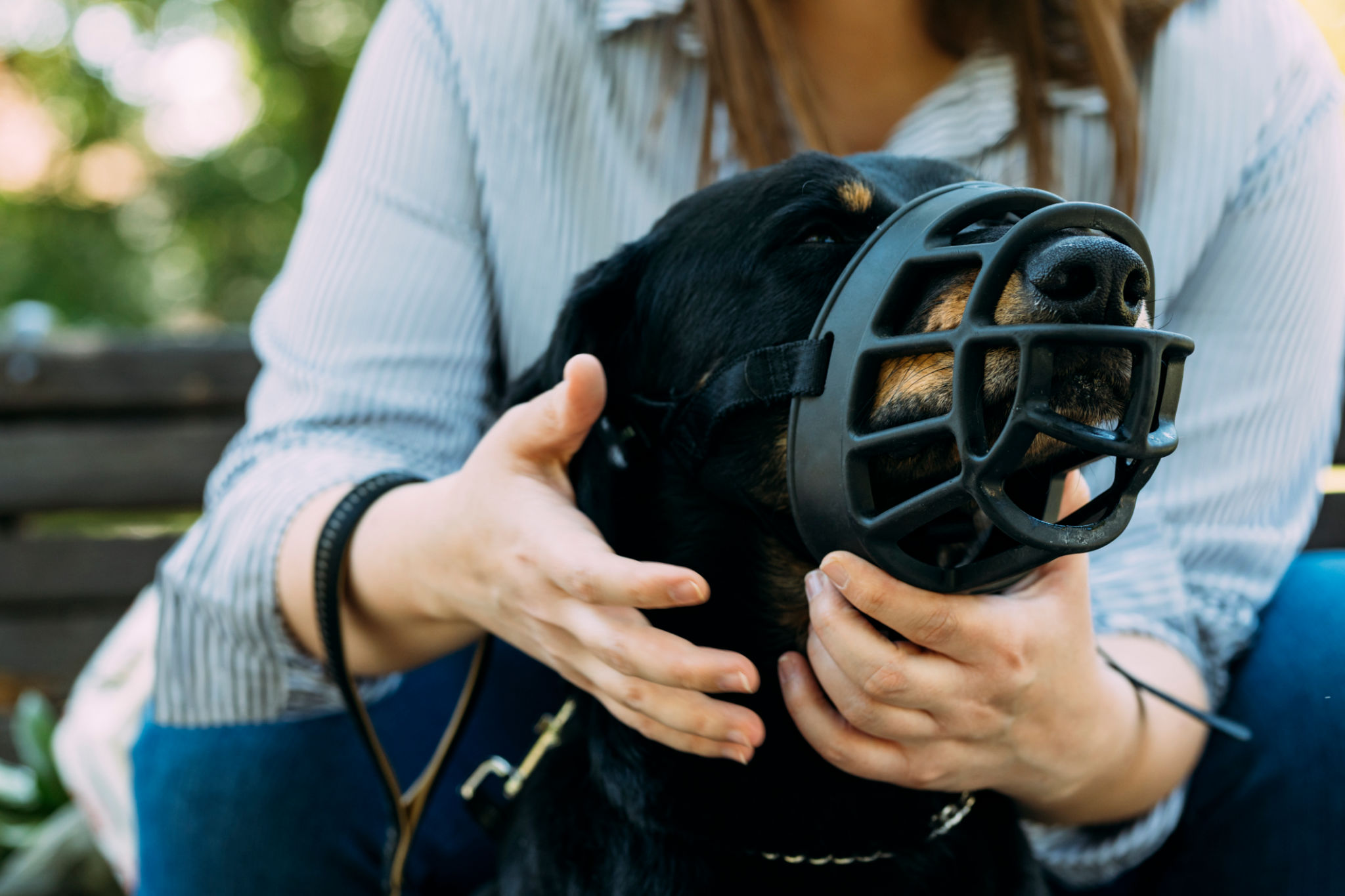 Best Dog Muzzles For Barking