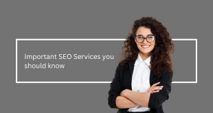 Important SEO Services - Mahira Digital