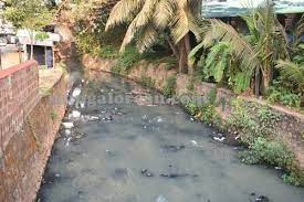 Doestic Sewage