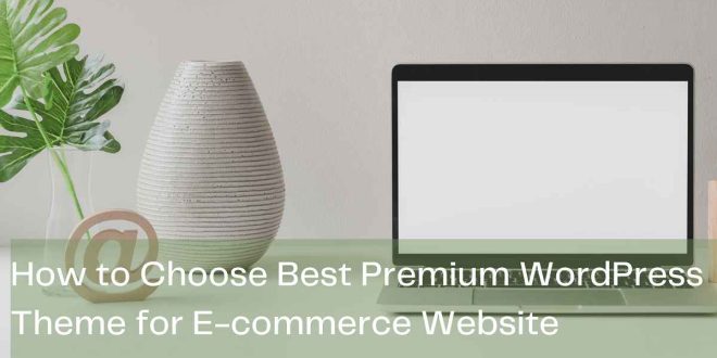 how to choose wordpress theme for ecommerce website