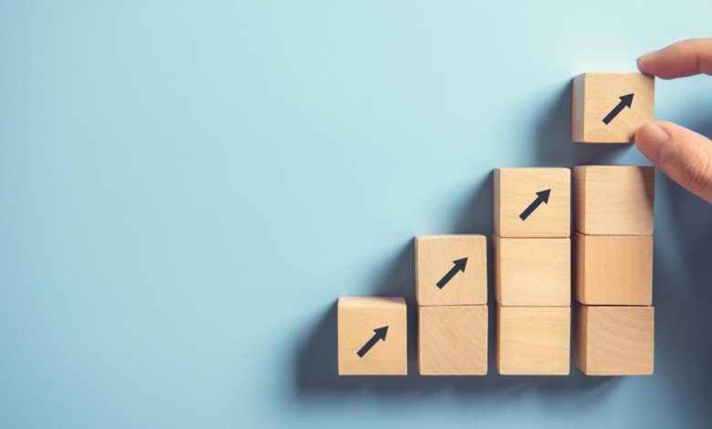 Business Consultant for Startups