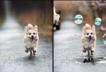 AI Image Generator