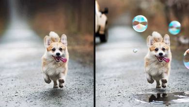 AI Image Generator
