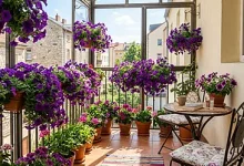 Private Coliving Room or Shared Space? Choosing the Right Coliving Setup